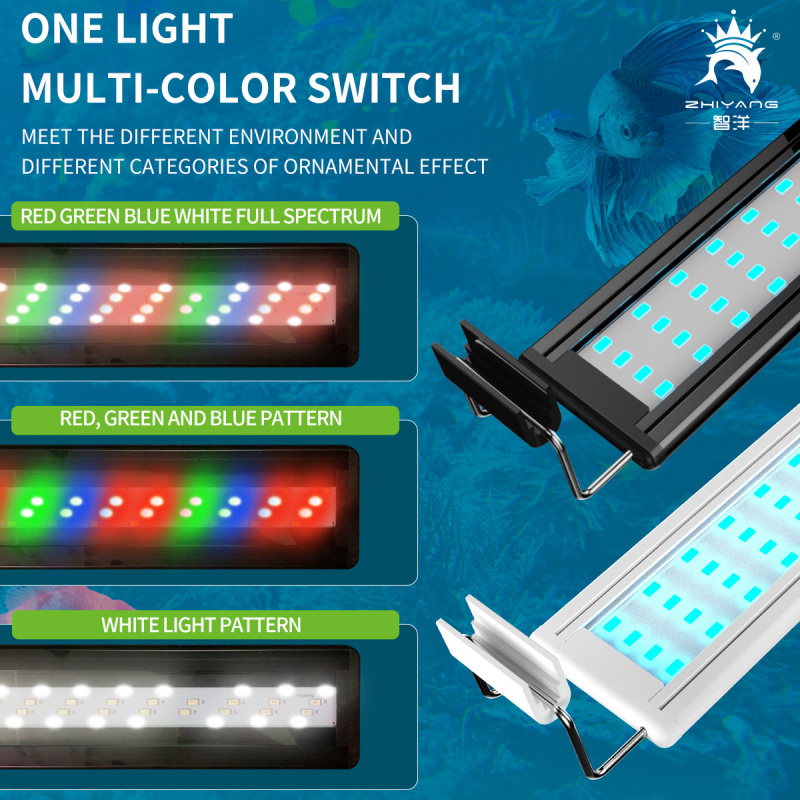 4-Row Color Changing Aquarium  - Candle Making Supplies Uk บทวิจารณ์และราคา